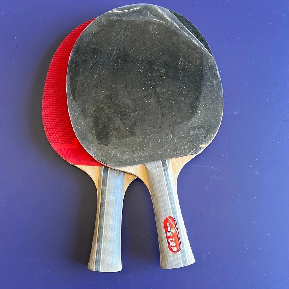729 street fighter 1 bat pips in pips out Table Tennis Rubber
