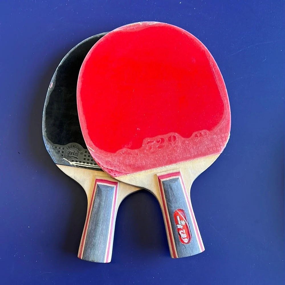 729 street fighter 2 bat double pips in Table Tennis Rubber