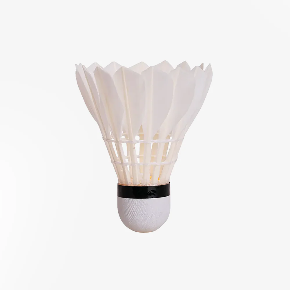 chaopai 12 PCS Training Chao Pai Duck Feather Badminton Shuttlecock - Image 2
