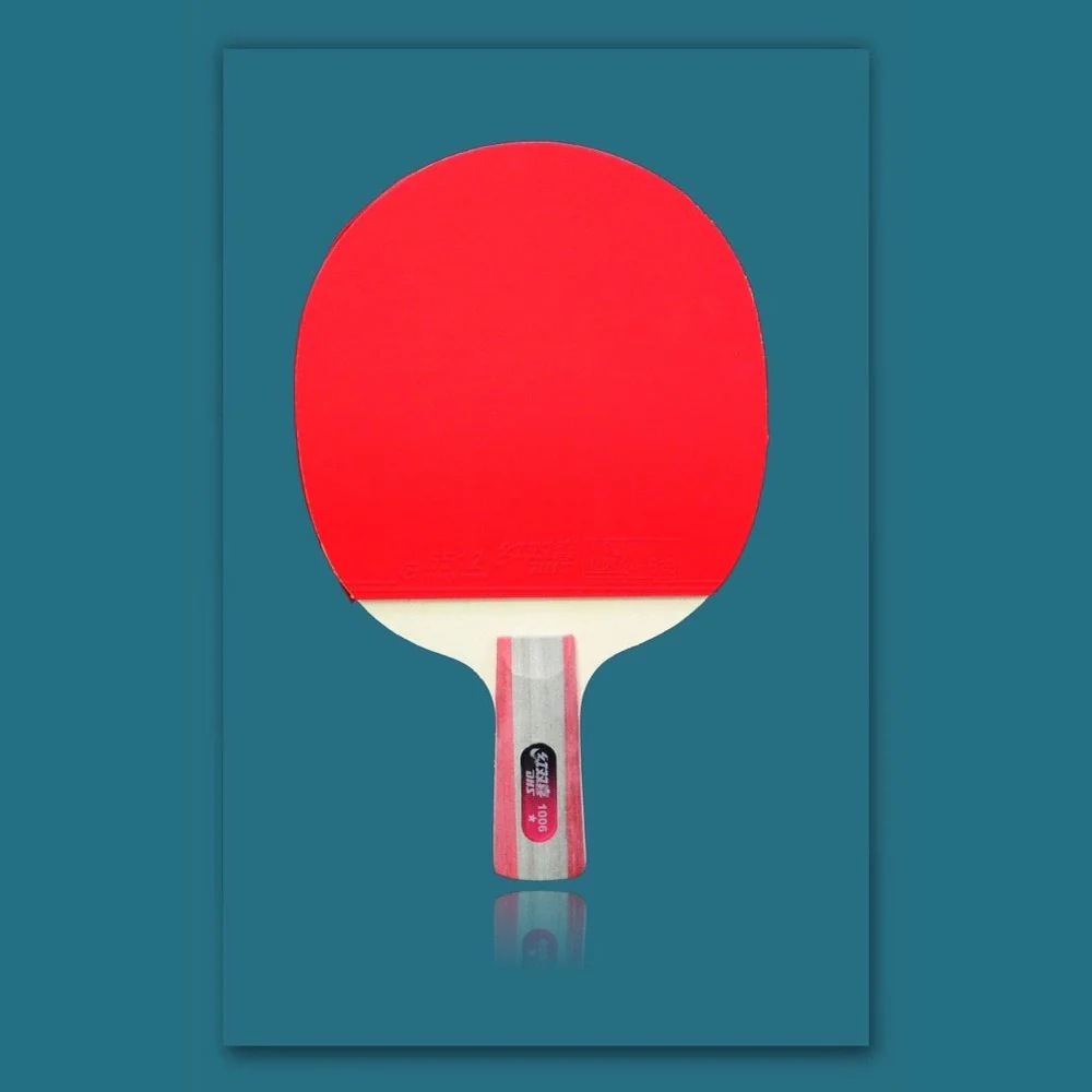 DHS 1 Star H1006,H1002 Table Tennis Bat Racket - Image 7