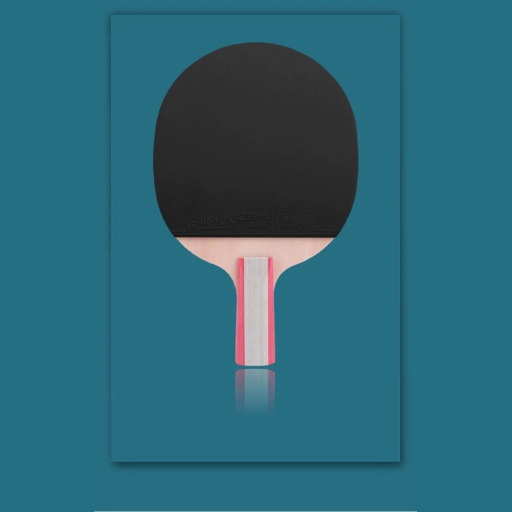 DHS 1 Star H1006,H1002 Table Tennis Bat Racket - Image 8