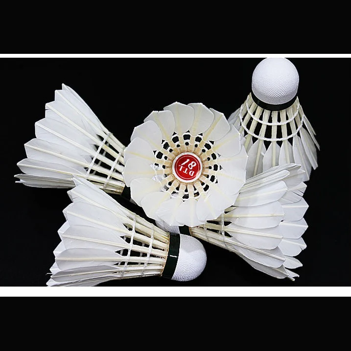 RSL 12 PCS DTL 81 Badminton Duck Feather Badminton Shuttlecock - Image 6
