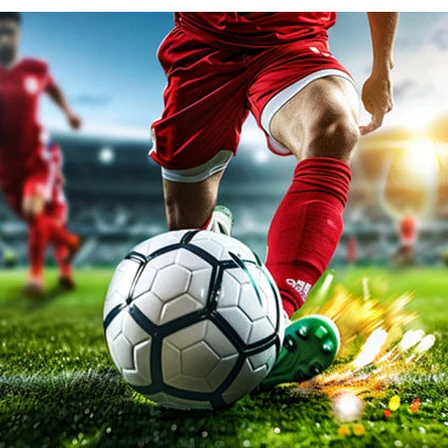 SPP Professional Leg Protection Shin Guards for Football, Hockey & Field Sports,HTB03 - Image 9