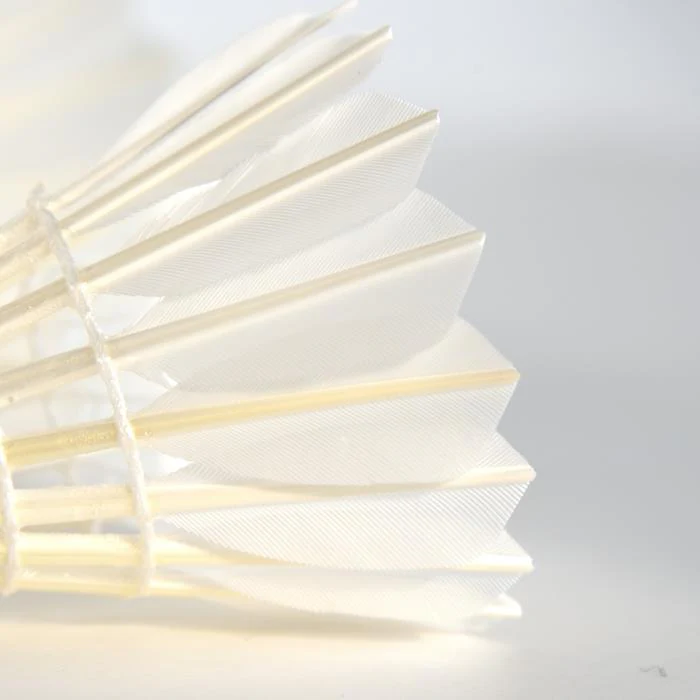 WONG 12 PCS ELITE Badminton Goose Feather Badminton Shuttlecock - Image 2